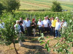 actiune-viticultori-Sona
