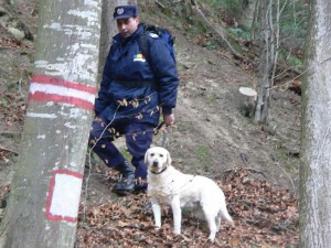 jandarmi-cautari-padure