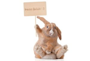 mesaje haioase de Paste
